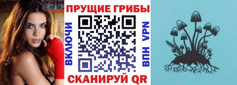 Галлюциногенные грибы ЛСД  Купить где  Дрезна 